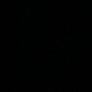 Meet your Posher, Basilio